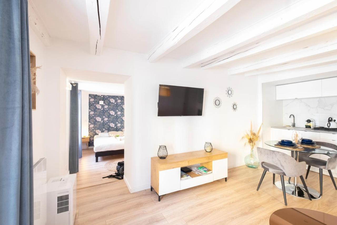 Petit Cocon Au Centre D'Annecy Appartement Buitenkant foto